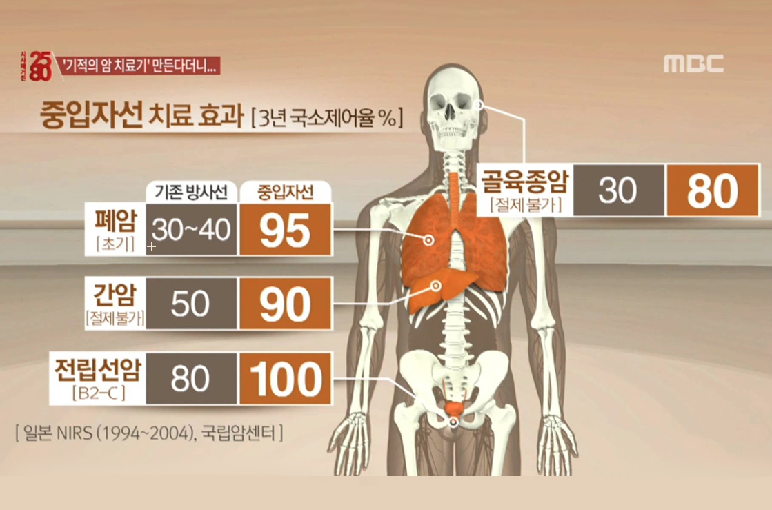치료 효과 비교